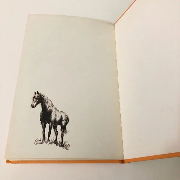 Vintage  1965 The History of the Horse by William DuPuy Hardcover Book - Picture 15 of 16